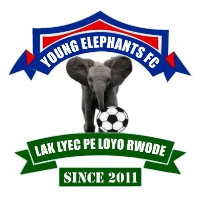 Young Elephant’s Future Remains Uncertain as the Club is Put on Sale